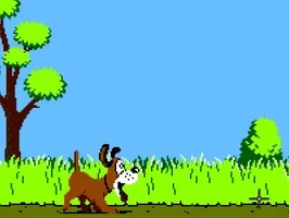 Duck Hunt